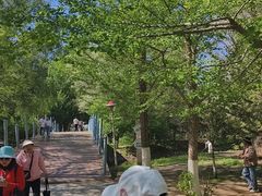 -长白岛森林公园