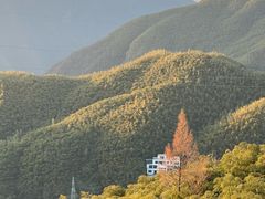 -江南天池