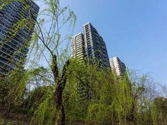 -重庆彩云湖湿地公园