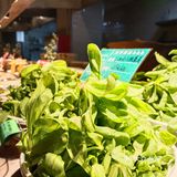 筱爷叔-松江最火爆的农家菜！