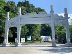 -羚羊峡古栈道森林公园