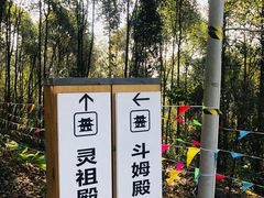 -老君山