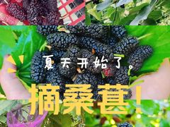 -萧山区金辰之光幼儿园