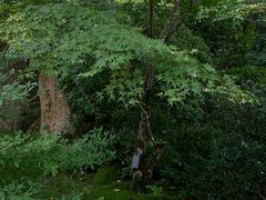 -三千院