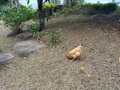 -沙美村