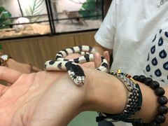 -藦茜花园宠物主题亲子互动体验馆(国顺东路店)
