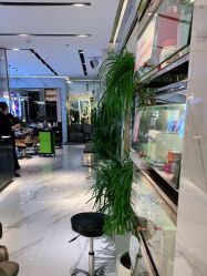 -罗亚帝造型·烫发染发