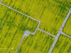 -汉长安城未央宫国家考古遗址公园