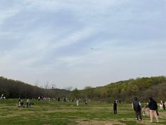 -羊山湖公园