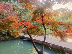-青枫公园
