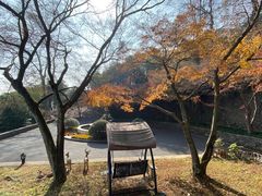 -莫干山风景区