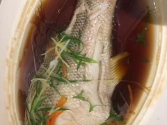 -眉州东坡(春秀路店)