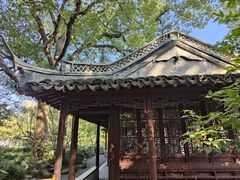 -上海醉白池公园