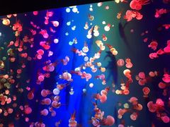 -成都浩海立方海洋公园