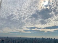 -眉州东坡(上海中心店)
