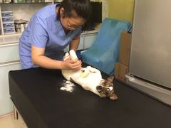 -宠颐生维康宠物医院(金丰店)
