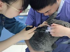 -邢大夫动物医院