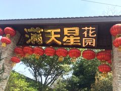 -满天星花园