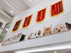 -爱侣宠医·鹦鹉专科·小型哺乳类·异宠专科(灵石路店)