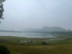 -风云岭森林公园