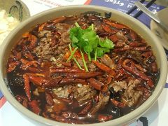 冒肥牛-诸葛江湖