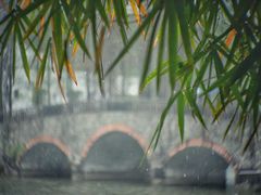 -华南国家植物园-售票处