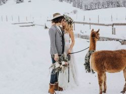 点击看大图 -谛融婚礼酒店·宴会厅(花园店)