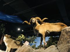 -陕西自然博物馆