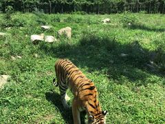 -西安秦岭野生动物园