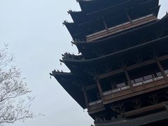 -杭州半山国家森林公园