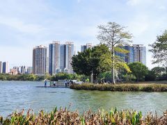 -飞来湖湿地公园