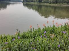 -南国桃园旅游度假区