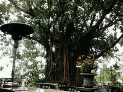 -太平山餐厅(山顶道店)