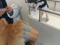 -怪兽屋·羊驼·猫咖·狗咖(俊华广场店)