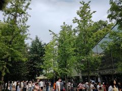 -成都动物园