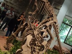 -自贡恐龙博物馆