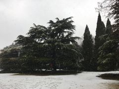 -山东大学(千佛山校区)
