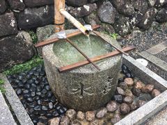 -有栖山 清光院 清水寺