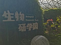 -花之城