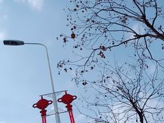 -海底捞火锅(旭辉MALL店)