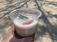 -Seesaw Coffee(上生新所店)