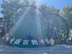 -呀路古热带植物园