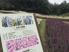-保利石象湖景区
