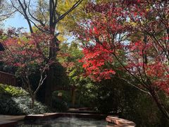 -七彩云南古滇温泉山庄