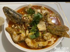 -煲来饱去冷水鱼