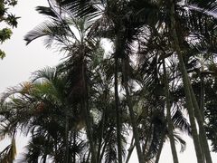 -梅溪牌坊