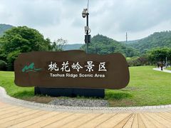 -桃花岭景区