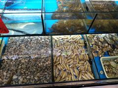 -中国舟山国际水产城