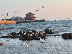 -青岛海滨风景区