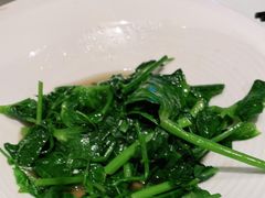 豌豆尖-静之湖湖畔餐厅